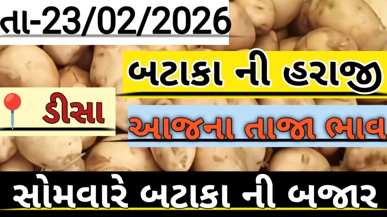 બટાકા ની હરાજી//Deesa bataka ni haraji//आलु मंडी #deesa #potato #aalu #farming #viralvideo #new 