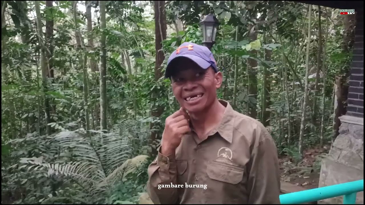 Tidak Disangka.! Lereng Gunung Tidar Banyak Pohon Tinggi Sampai 50 M Sepanjang Jalan Tangga Turun