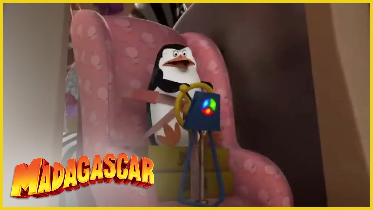 DreamWorks Madagascar en Español Latino | Pinguinos de Madagascar Escenas Graciosas