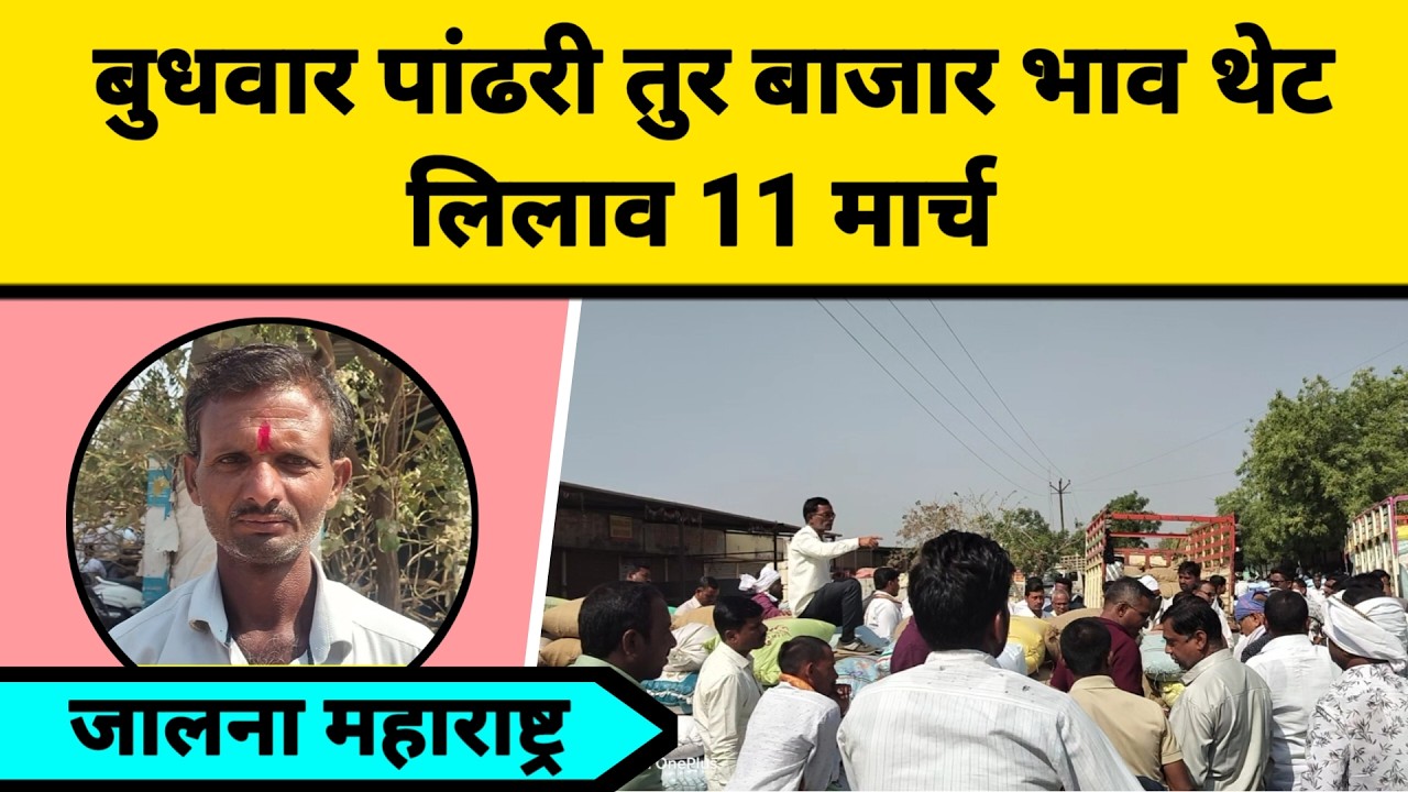 बुधवार पांढरी तुर बाजार भाव थेट लिलाव 11 मार्च जालना महाराष्ट्र || तुरीला काय मिळतो भाव
