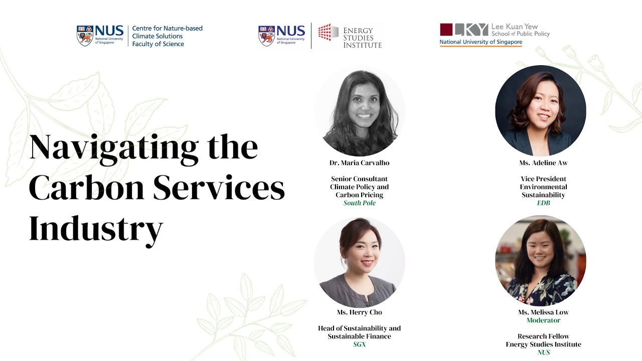 Navigating the Carbon Services Industry