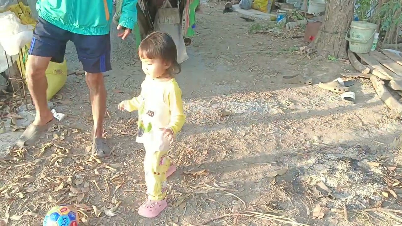 Ông nội mua trá bốn cho mèo rồi hai ông cháu đi đá luôn rồi 