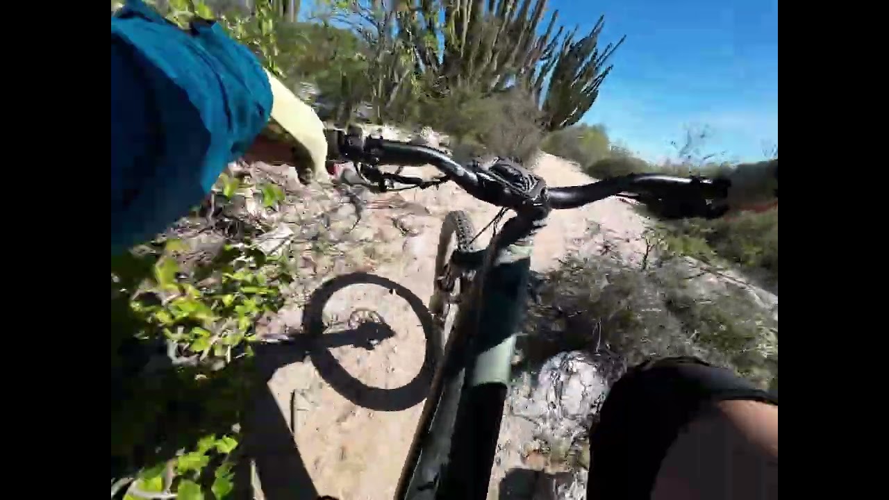 Snide & Craw do La Ventana