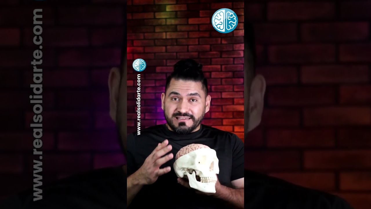 &iquest;Por qu&eacute; se PARALIZA la MITAD DEL CUERPO en un Accidente Cerebrovascular? #fisioterapia #evc #acv