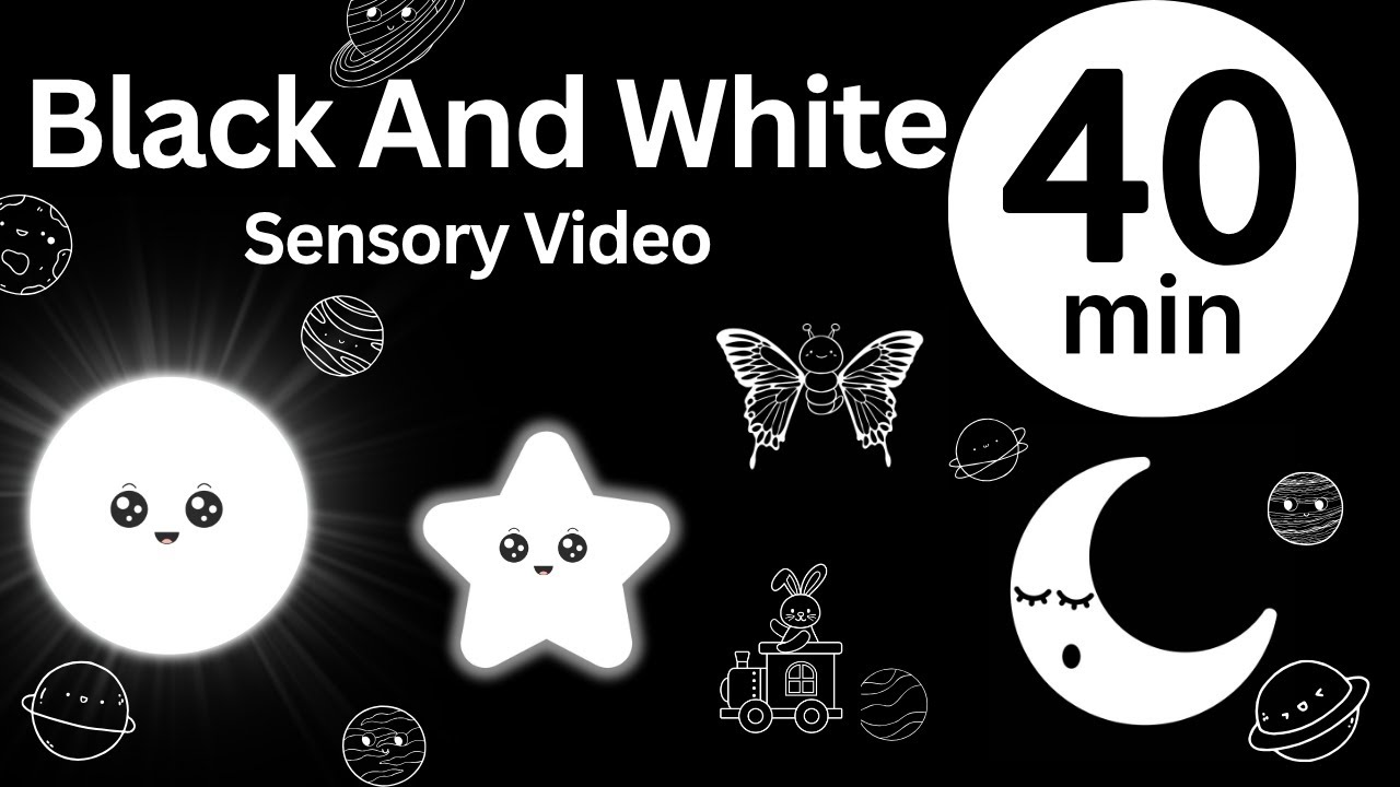 Baby Bear | Black and White Video | Visual Tracking and Calming Music