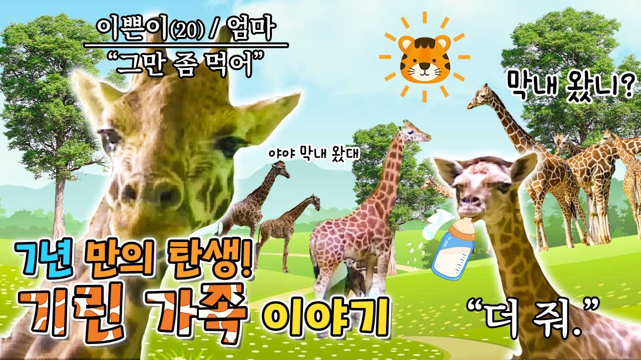 7년 만의 탄생👶! 기린 가족 이야기🦒💖 [KBS대/세/남 With Animals] / KBS 방송