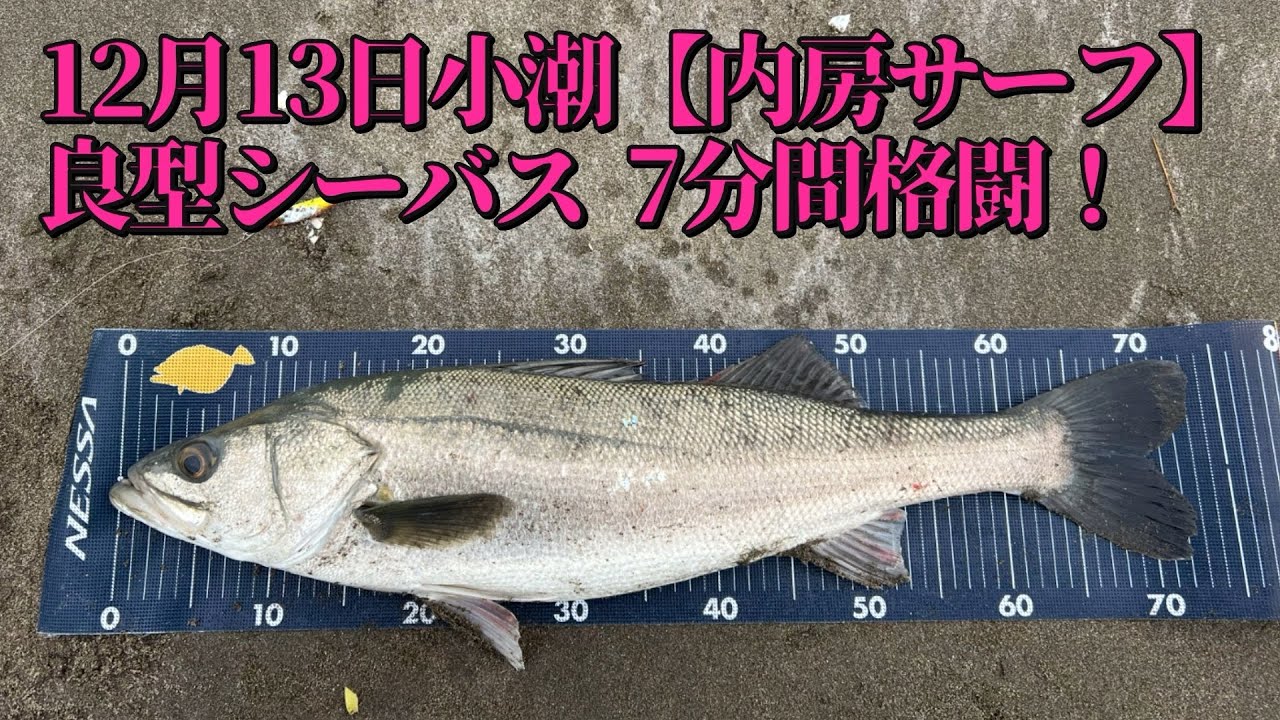 【内房サーフ】12月13日(土)小潮 スキマ釣行 良型シーバスと7分間の格闘劇