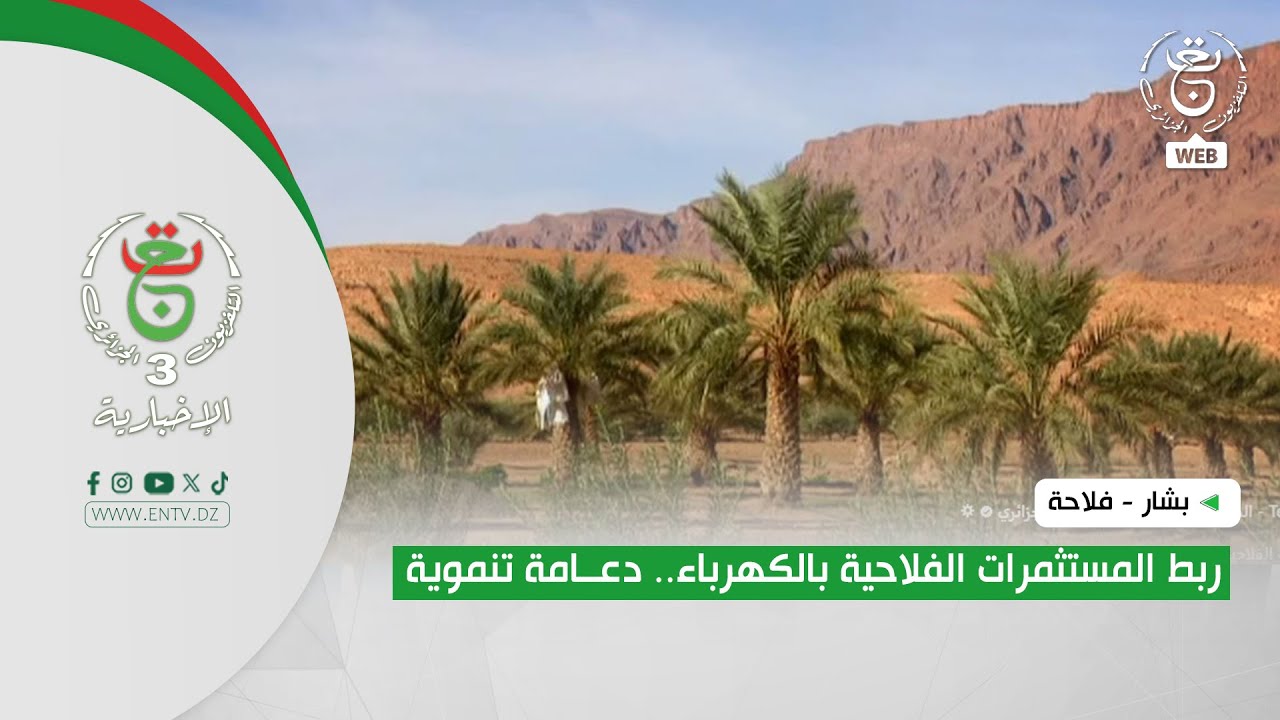 بشار - فلاحة| ربط المستثمرات الفلاحية بالكهرباء.. دعامة تنموية