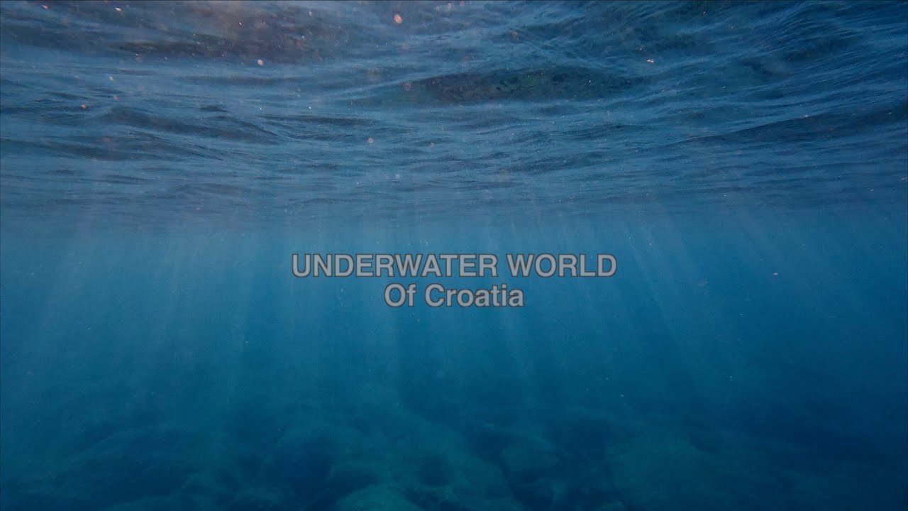 Underwater world of Croatia