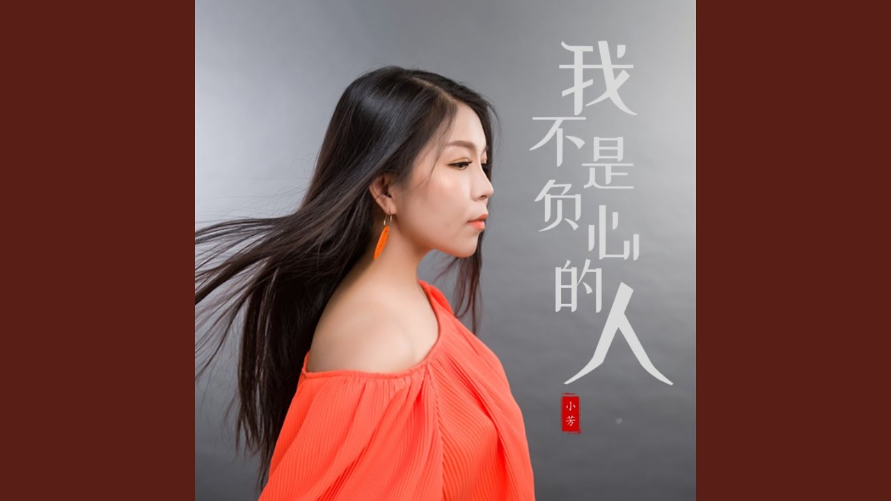我不是负心的人 (DJ默涵版)