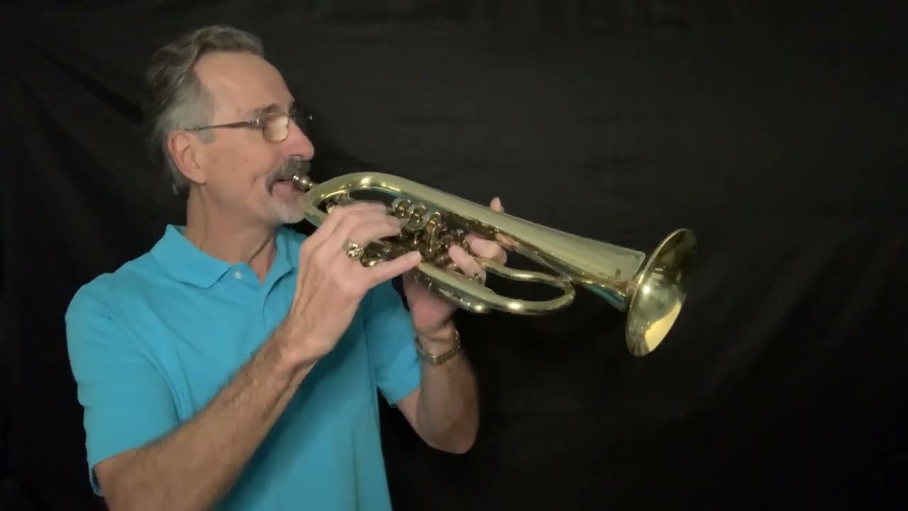 1960s Bohm Meinl "Symphonic" (SARV) Side Action Rotary Valve Bb Flugelhorn.  Made in Germany.
