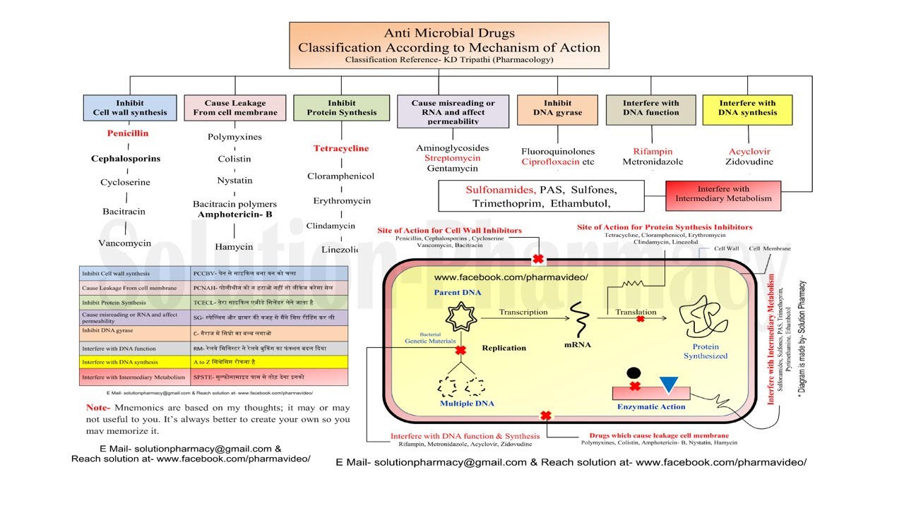 Antibiotics Classification According to Mechanism of Action | Antibiotics | Antibiotics Classes