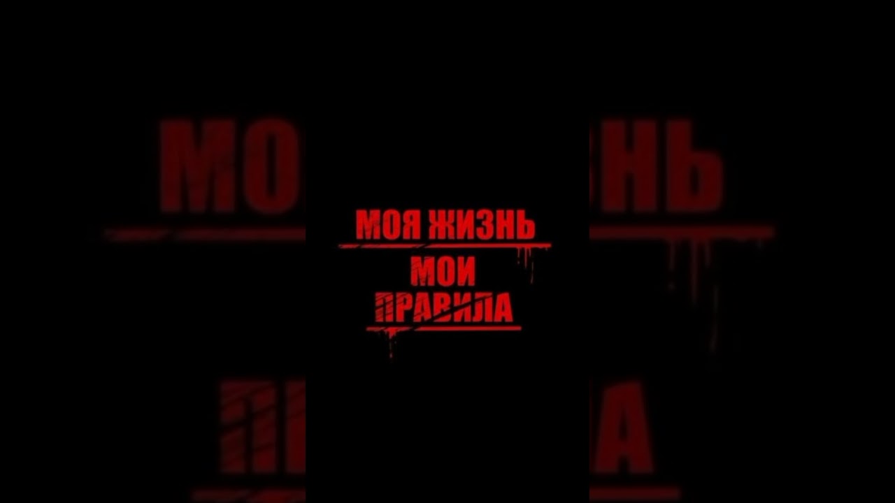 Сколько много сук 😎 #рекоминдации #рекомендация #рекомендации #рек 