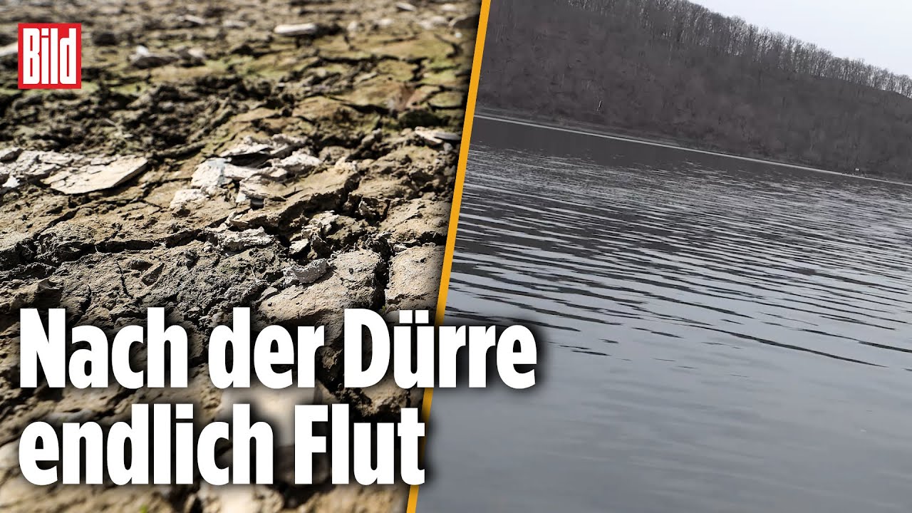 Der regelmäßig fast austrocknende Edersee ist wieder randvoll | Hessen