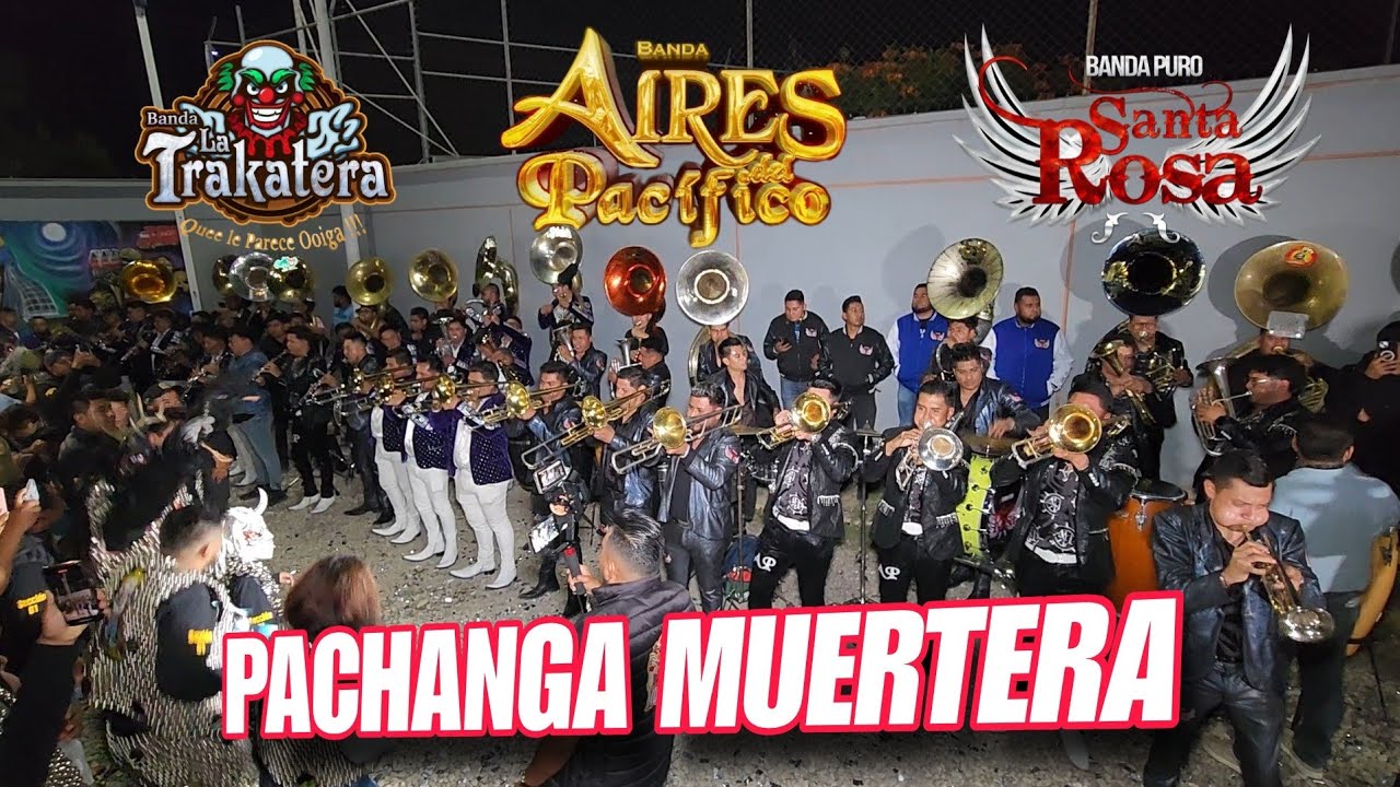 THE DEAD PACHANGA СОБРАЛИСЬ ВМЕСТЕ🔥AIRES DEL PACIFICO BAND, TRAKA, PURO SANTA ROSA🎺COCA COLA DEAD