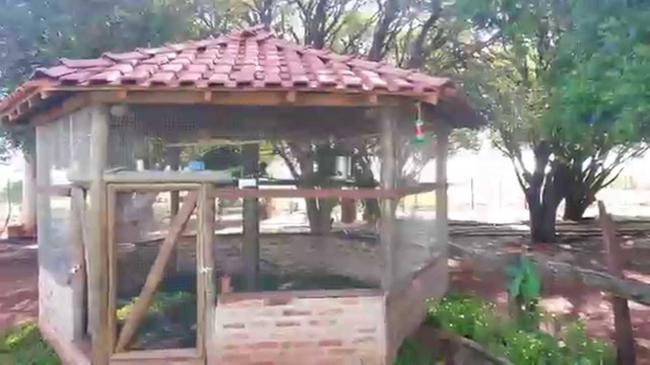 Viveiro pássaros exóticos