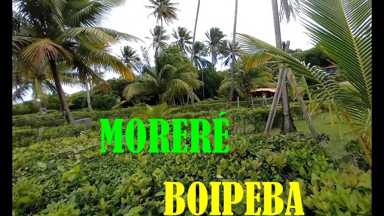 Morer&eacute; - Ilha de Boipeba