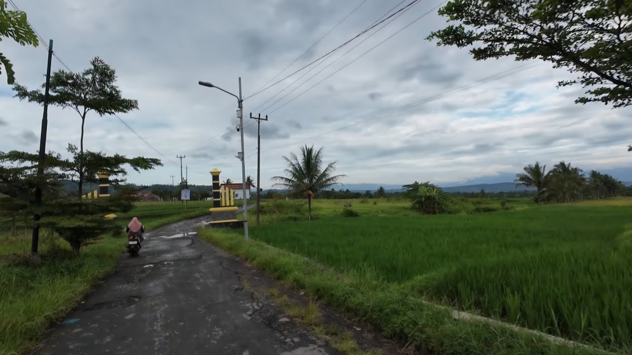 Suasana Pedesaan Setelah di Guyur Hujan || Brebes Jawa Tengah