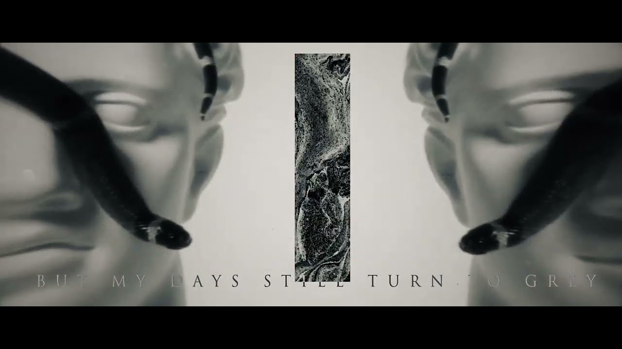 Avenoire - Canvas ft.Taylor Barber (OFFICIAL LYRIC VIDEO)