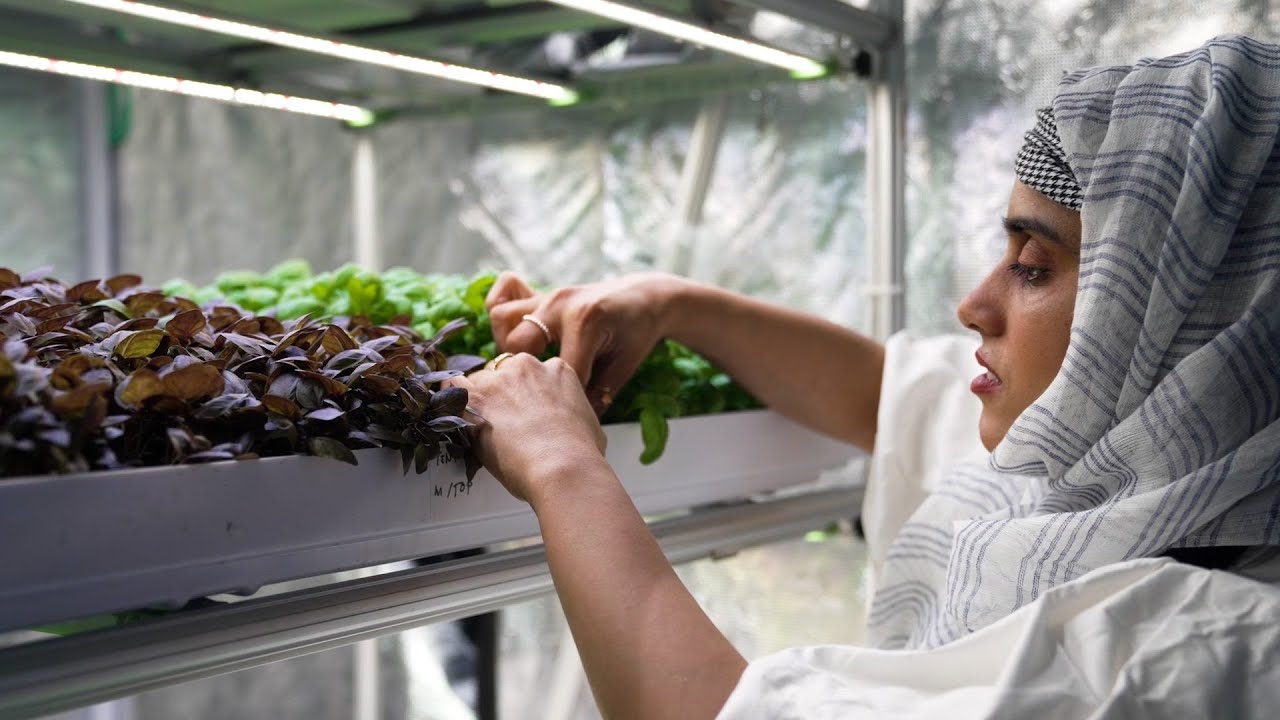 Gelponics – decarbonising hydroponics