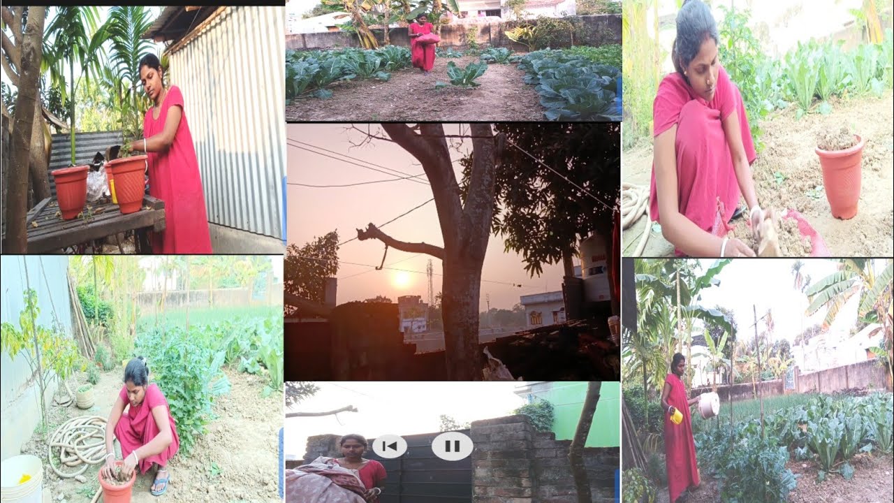  আমাদের বাড়ি খুব তাড়াতাড়ি নোংরা হয়ে যায় বাড়িতে টবে কিছু লাগালে হয় না 🙂🙂
