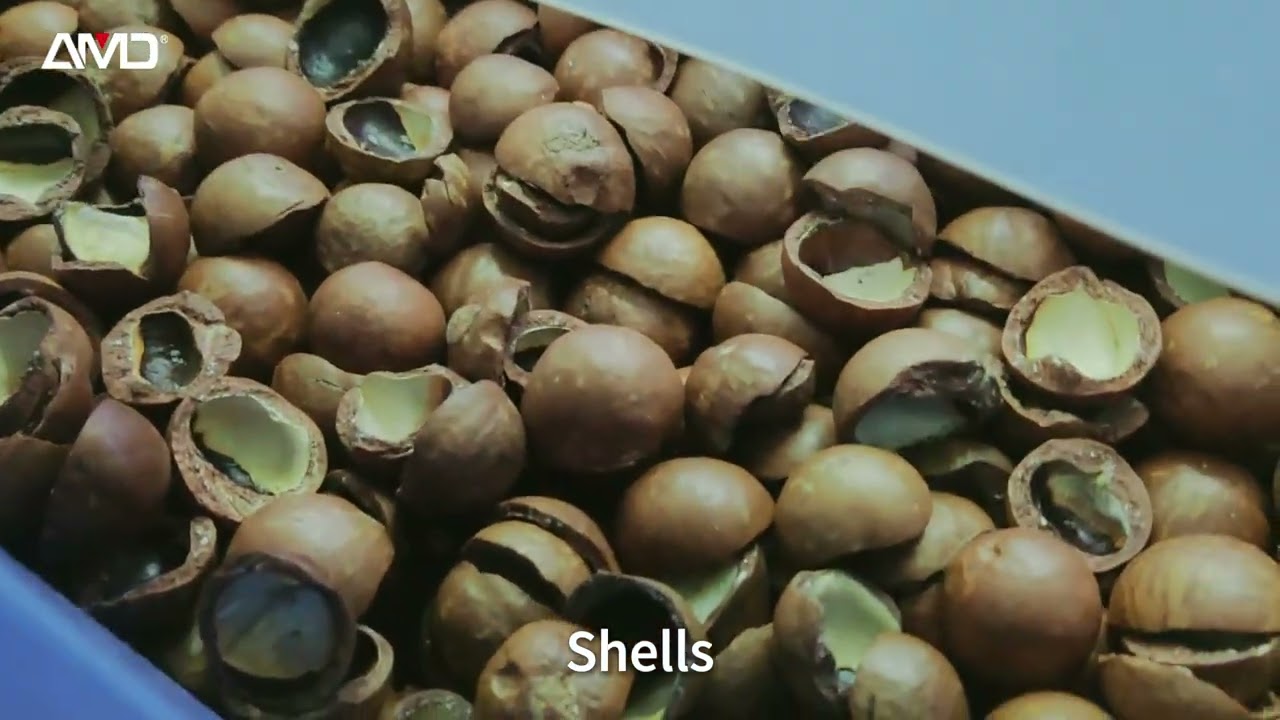 How to separate the kernel & shell of macadamia with AI deep learning technology?(No infrared)