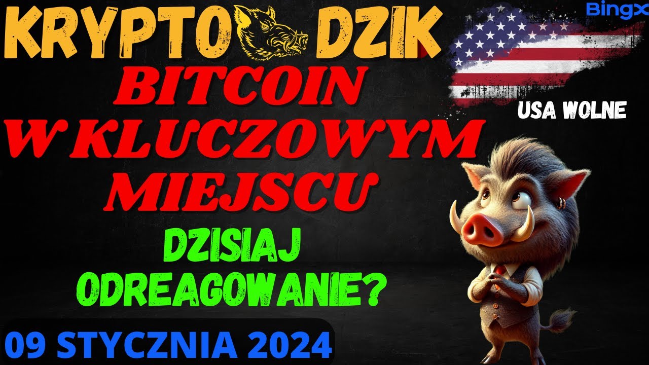 Dzika Analiza 09.01.2025 BITCOIN W WAŻNEJ STREFIE! DZISIAJ WZROSTY??? BTC/ETH/KAS/XRP/AXS/ROPA