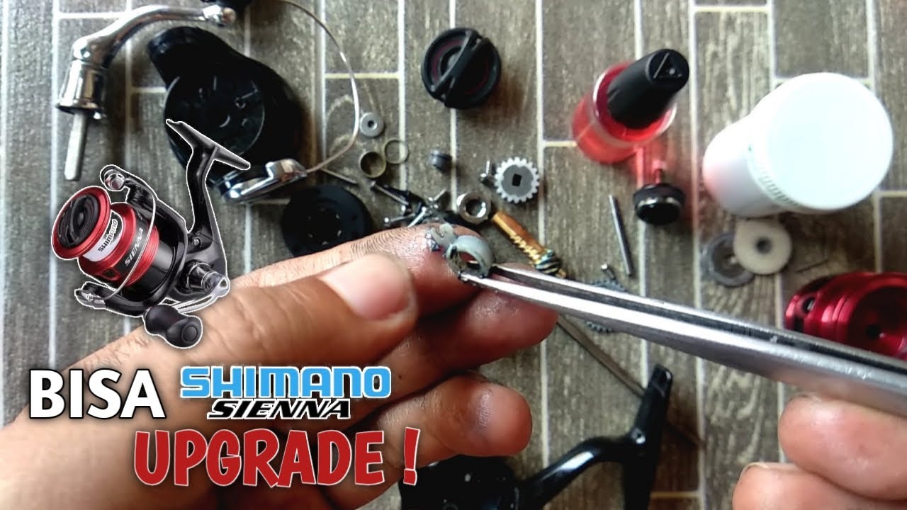 Bongkar dan ukur semua bearing Shimano Sienna