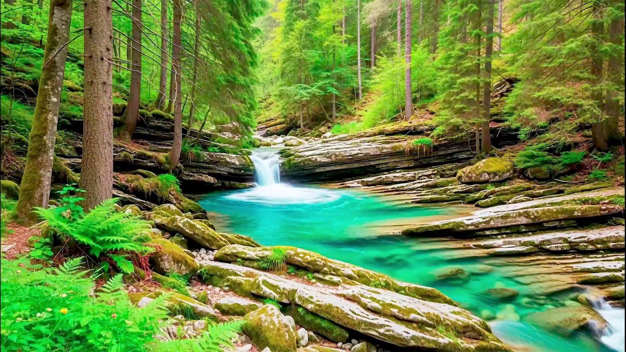 White Noise River Sound for Deep Sleep Flow with Forest Sound and Anxiety Relief