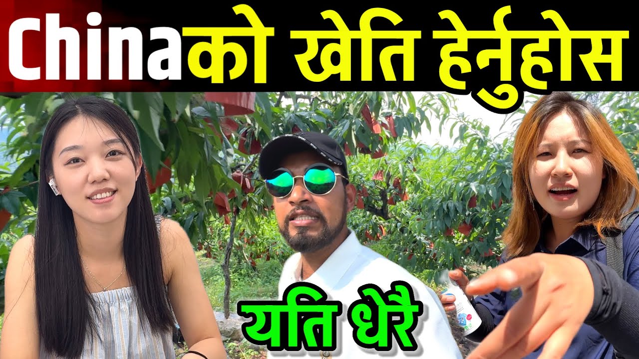 चाईनाको खेतबारी यस्तो हेर्नुहोस Bhagya Neupane China Tour EP-38