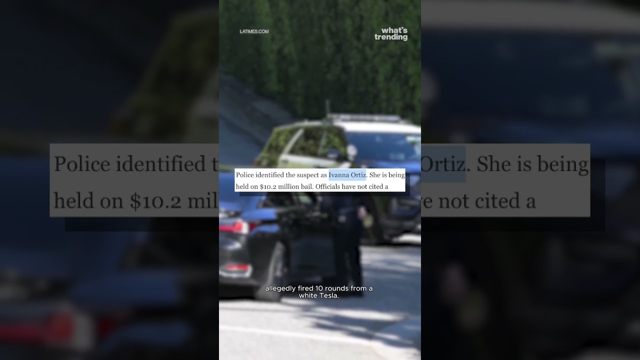 Rihanna TARGETED in Alleged AR-15 Style Drive-By