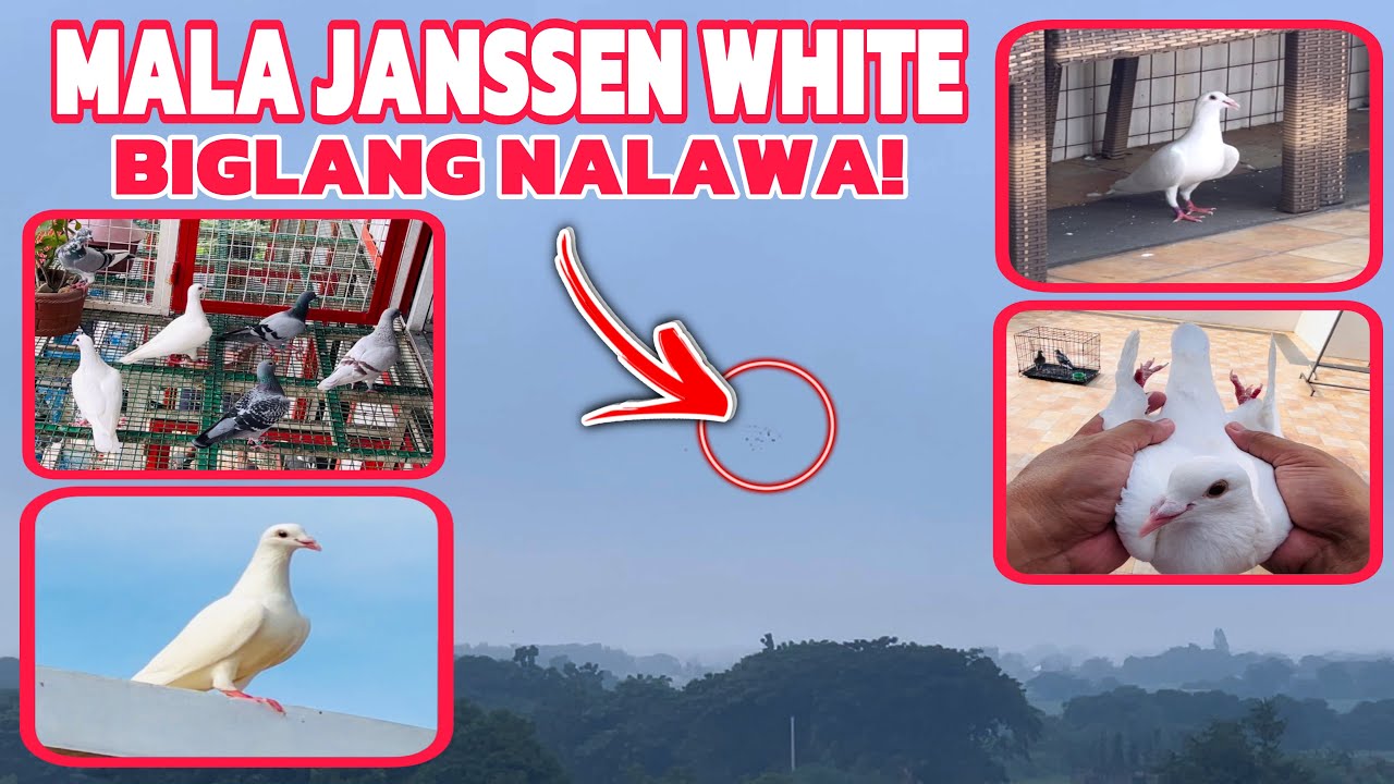 EP740 - MALA JANSSEN WHITE INUWIAN PA RIN AKO!
