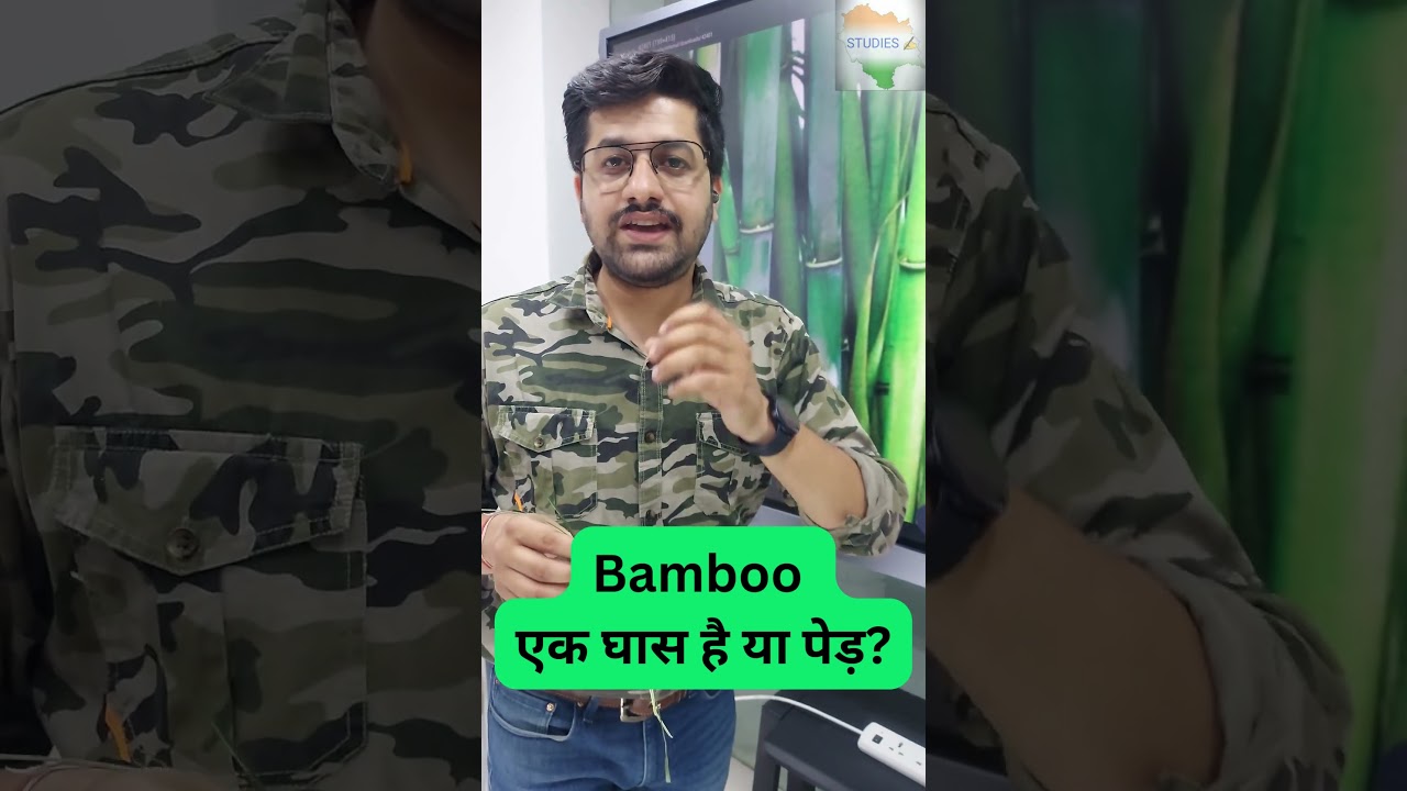 Bamboo Is a Tree Or Grass? | Explanation in the video #bamboo #grass #tree #biologyfacts #biology