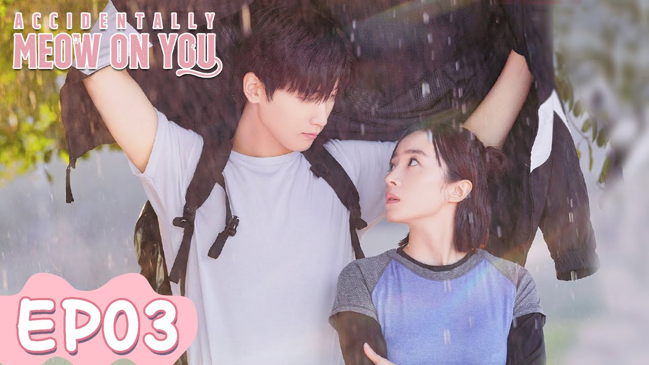 ENG SUB | Accidentally Meow On You | EP03 | Starring: Xing Zhaolin, Hu Bingqing | WeTV