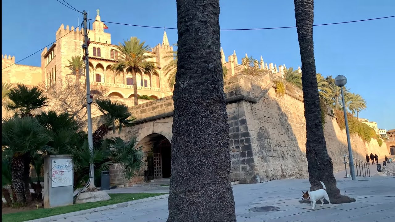 4K🌴Palma de Mallorca 🌴Cathedral and Parc del Mar🌟16. 01 2021