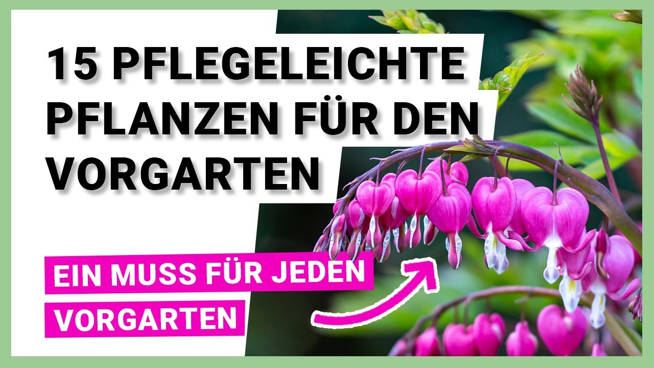 15 pflegeleichte Pflanzen für den Vorgarten, die Sie unbedingt haben müssen