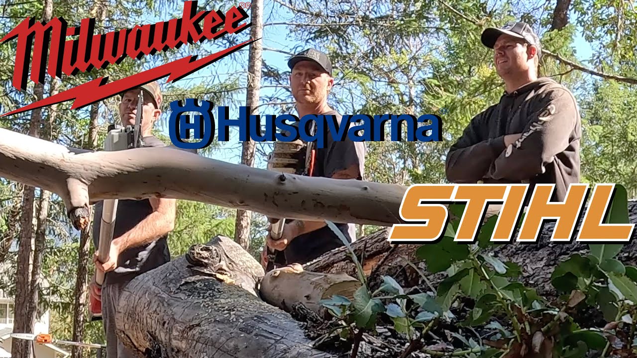 POLE SAW RACE ! Who will WIN?