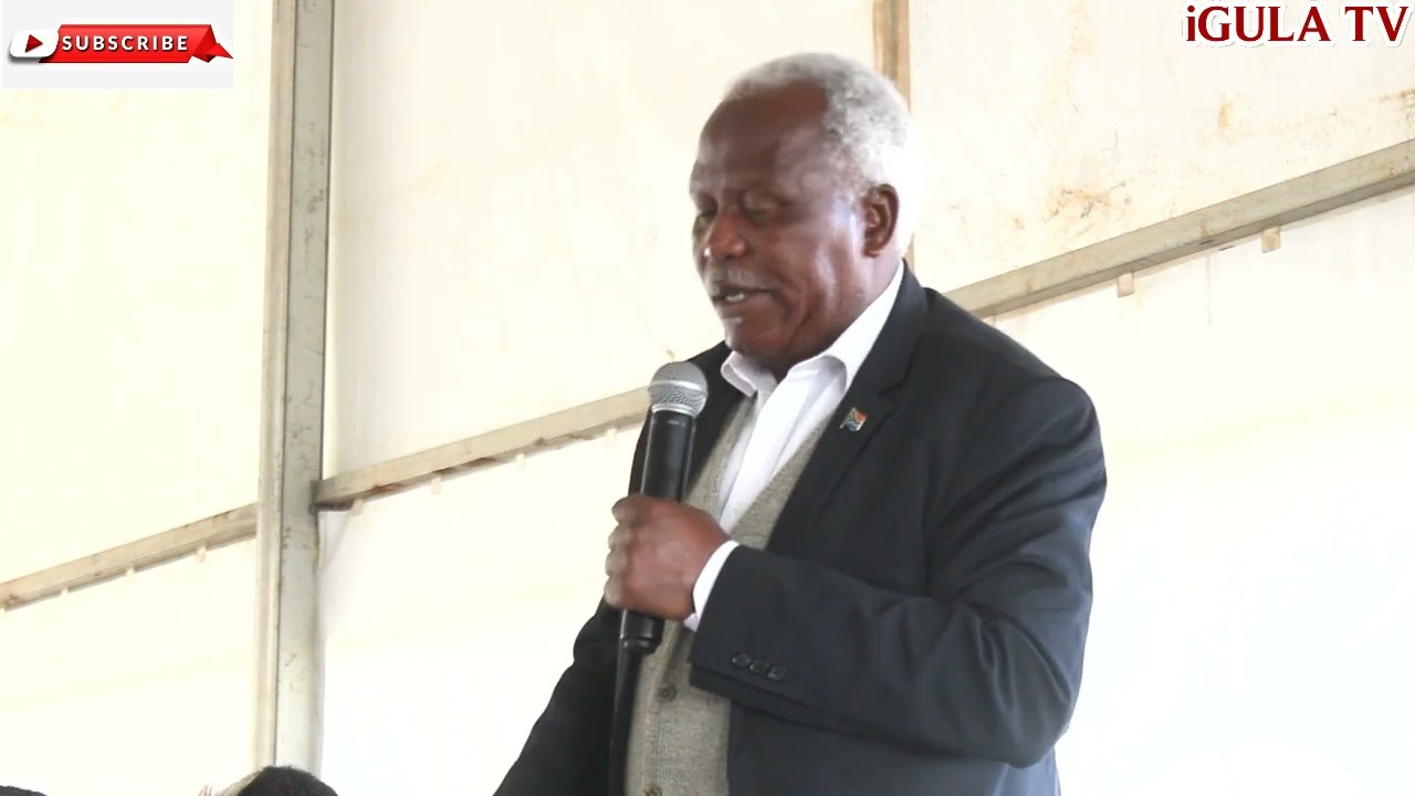 Mnz Buzetsheni Mdletshe (iNyosi)