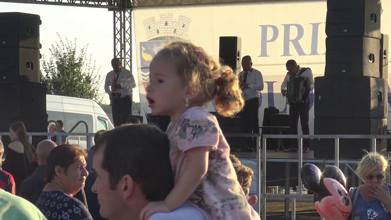 ziua orasului MOLDOVA NOUA 2019