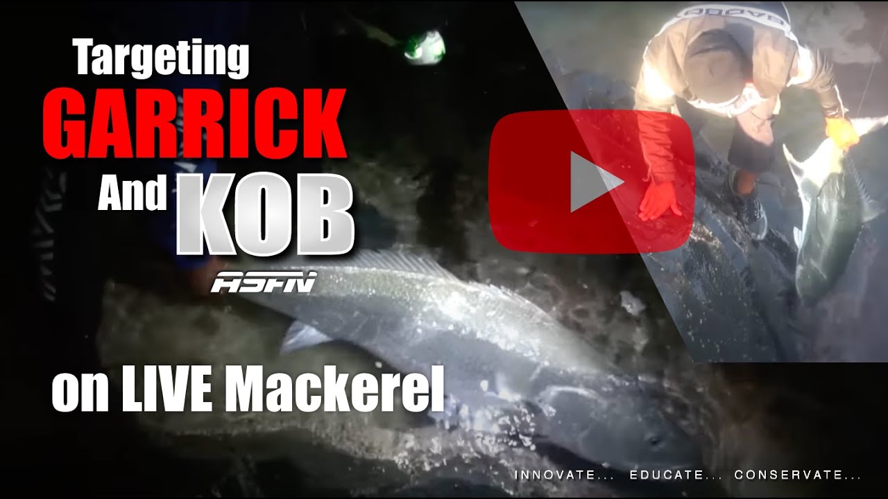 Targeting Garrick & kob on live Mackerel in the Transkei | ASFN Rock & Surf