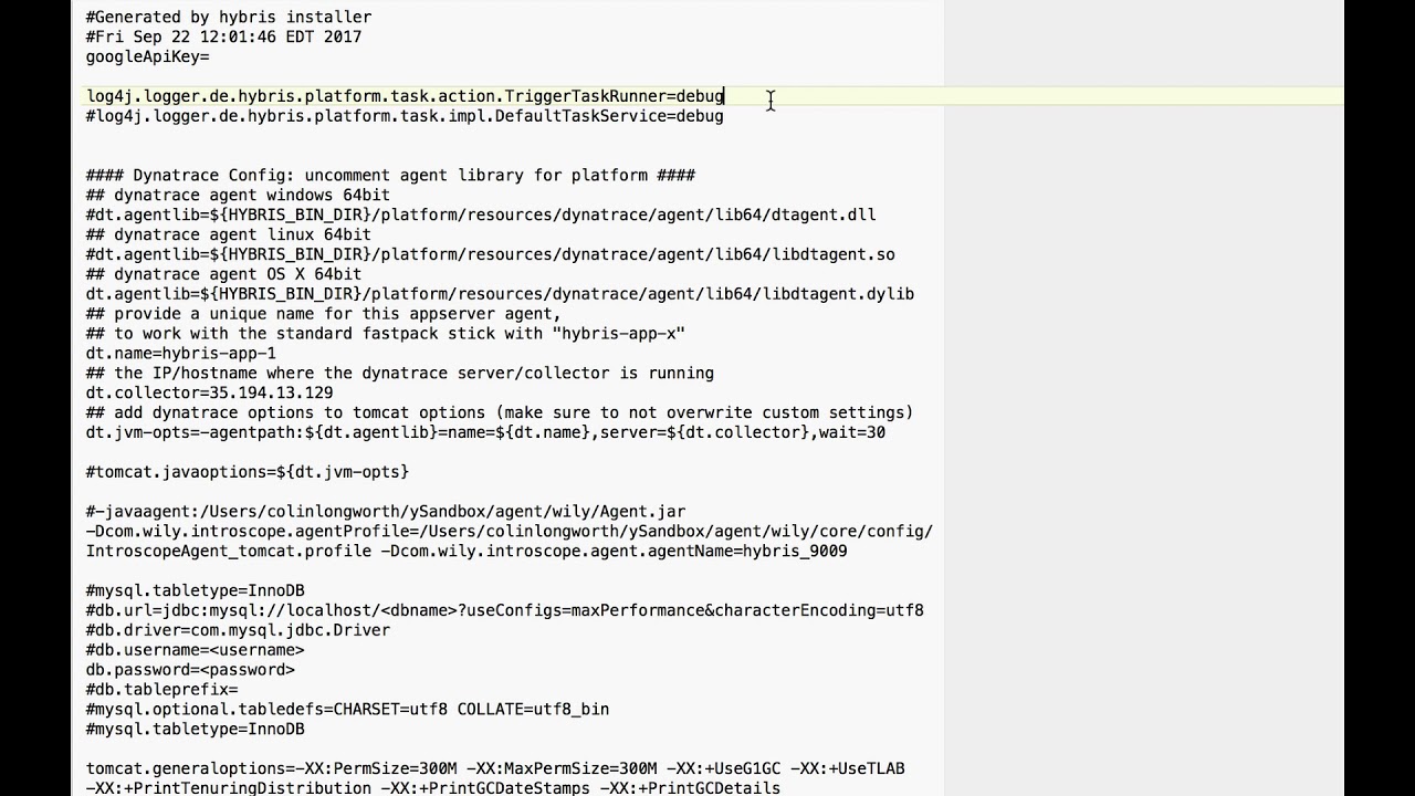 SAP Hybris MasterClass - Editing local.properties