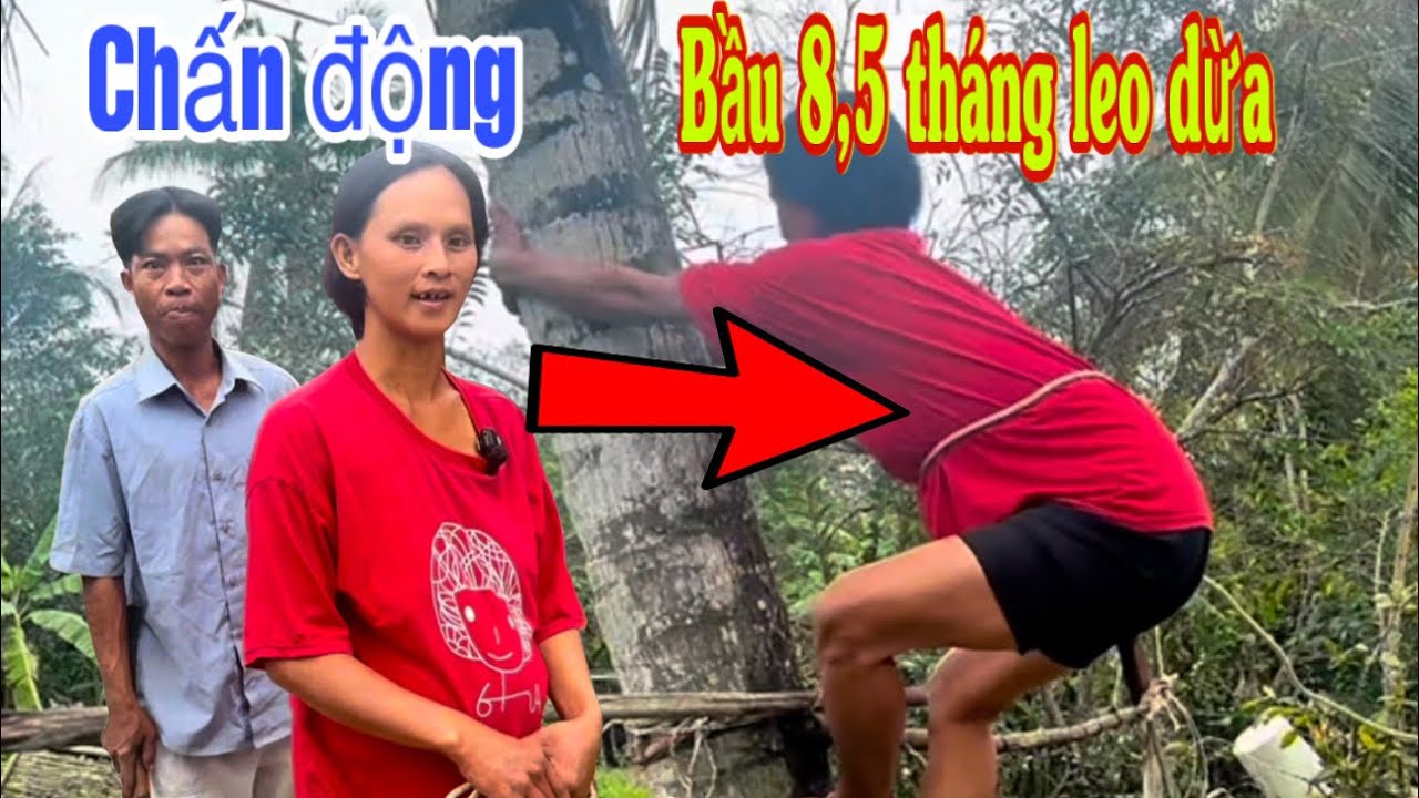 Kháng giả tin chị Huyền 33 tuổi”leo dừa”làm cả xóm thót tim#nguyhiểm 