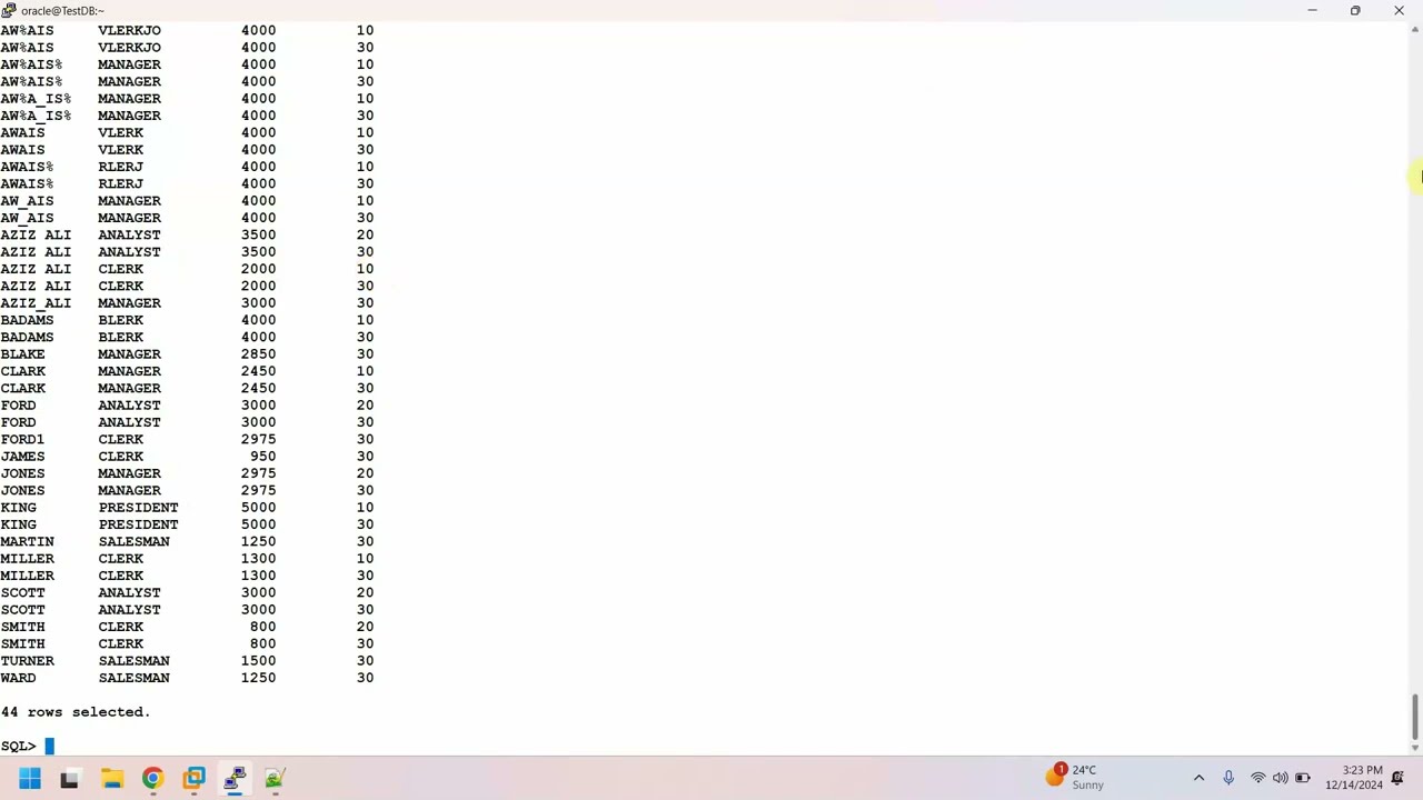 SQL CLASS 13