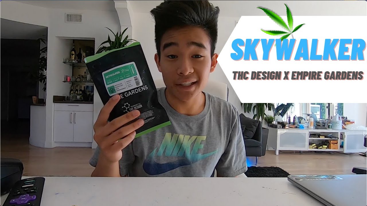 Weed Review, Skywalker by Empire Gardens, Kyle's High Supply