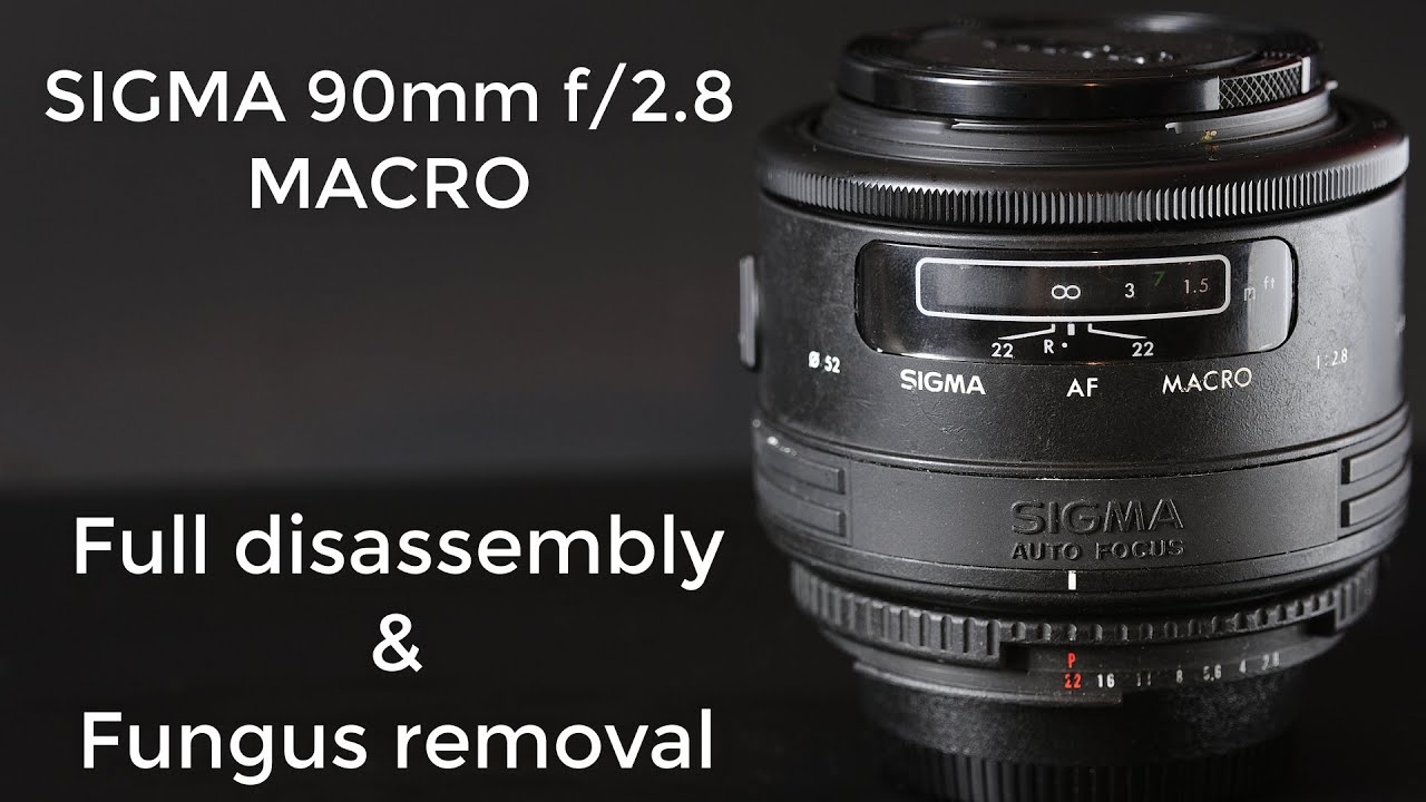 Lens repair : Clean fungus from Sigma 90mm f/2.8 macro