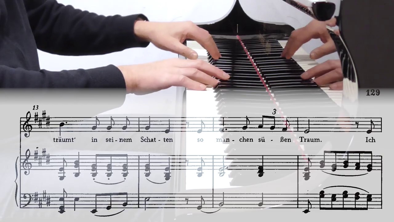 Franz Schubert: Winterreise D 911 - 05 - Der Lindenbaum