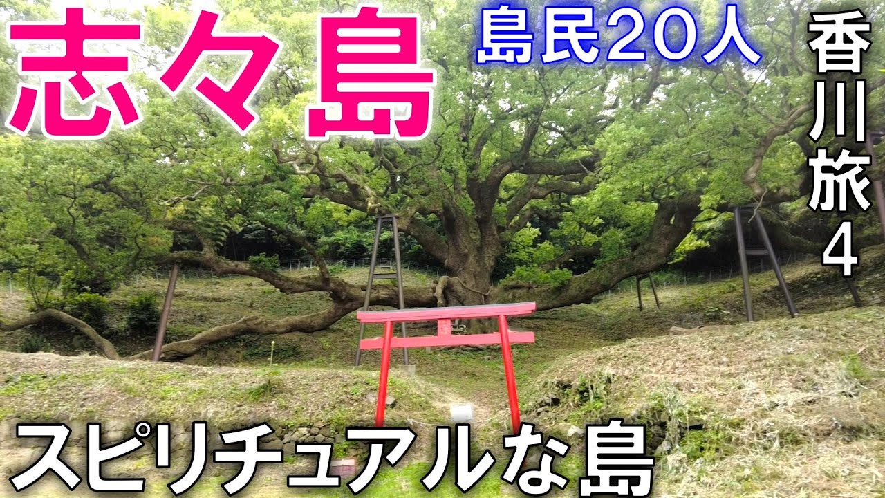 【志々島】島民20人 瀬戸内の花と大楠の島【香川県の旅】その4
