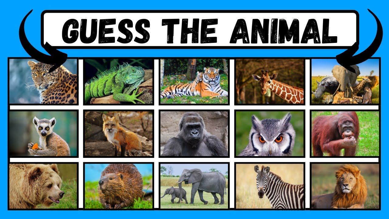How Many Animals Can You Guess? Take the 100 Animal Challenge! QUIZ HUB #guesstheanimals #quizhub
