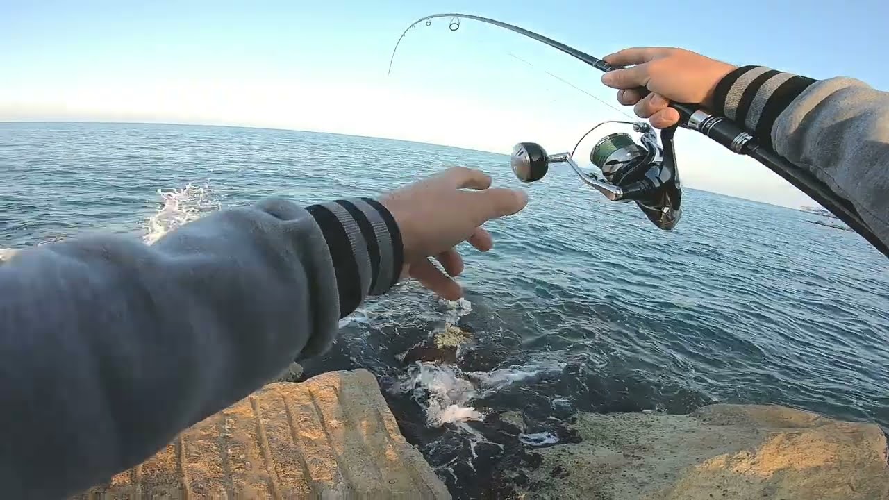 Spinning inshore Dentice al tramonto
