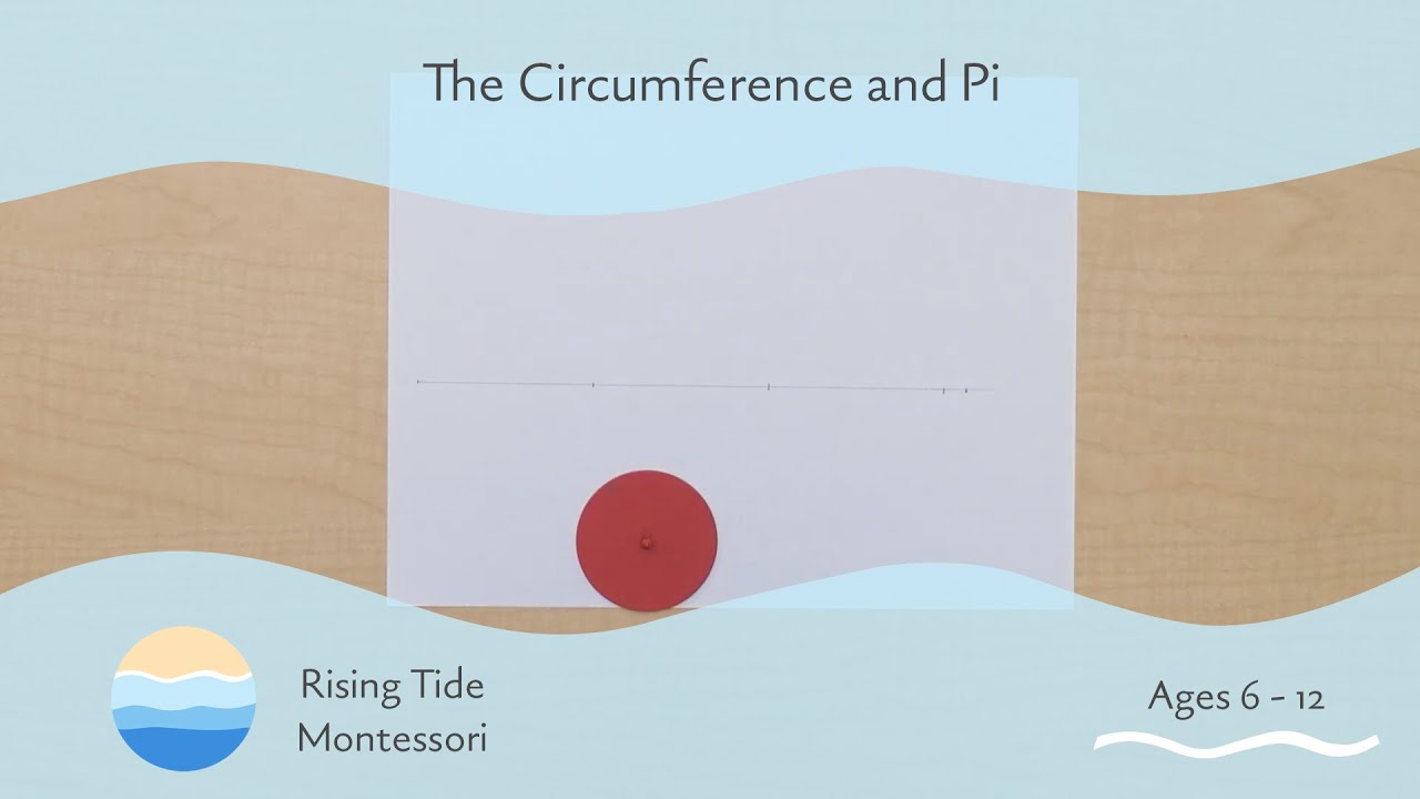 The Circumference and Pi